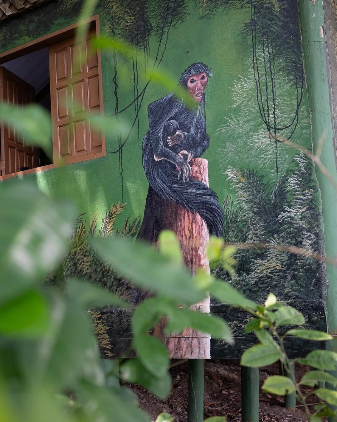 Evolucao Ecolodge ايراندوبا المظهر الخارجي الصورة