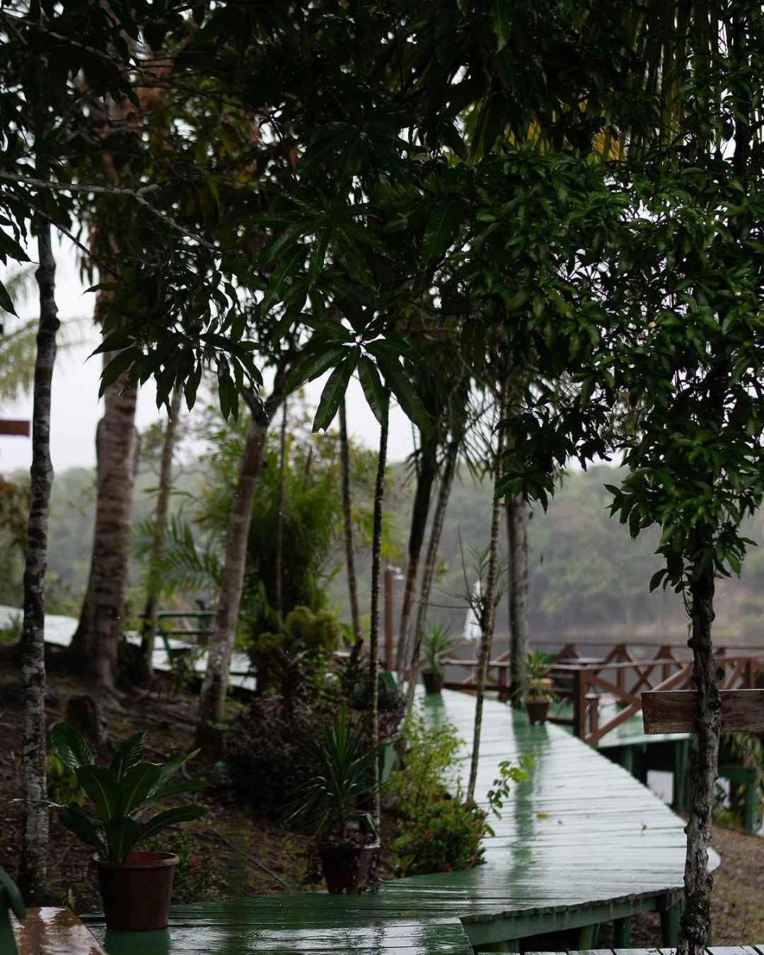 Evolucao Ecolodge ايراندوبا المظهر الخارجي الصورة